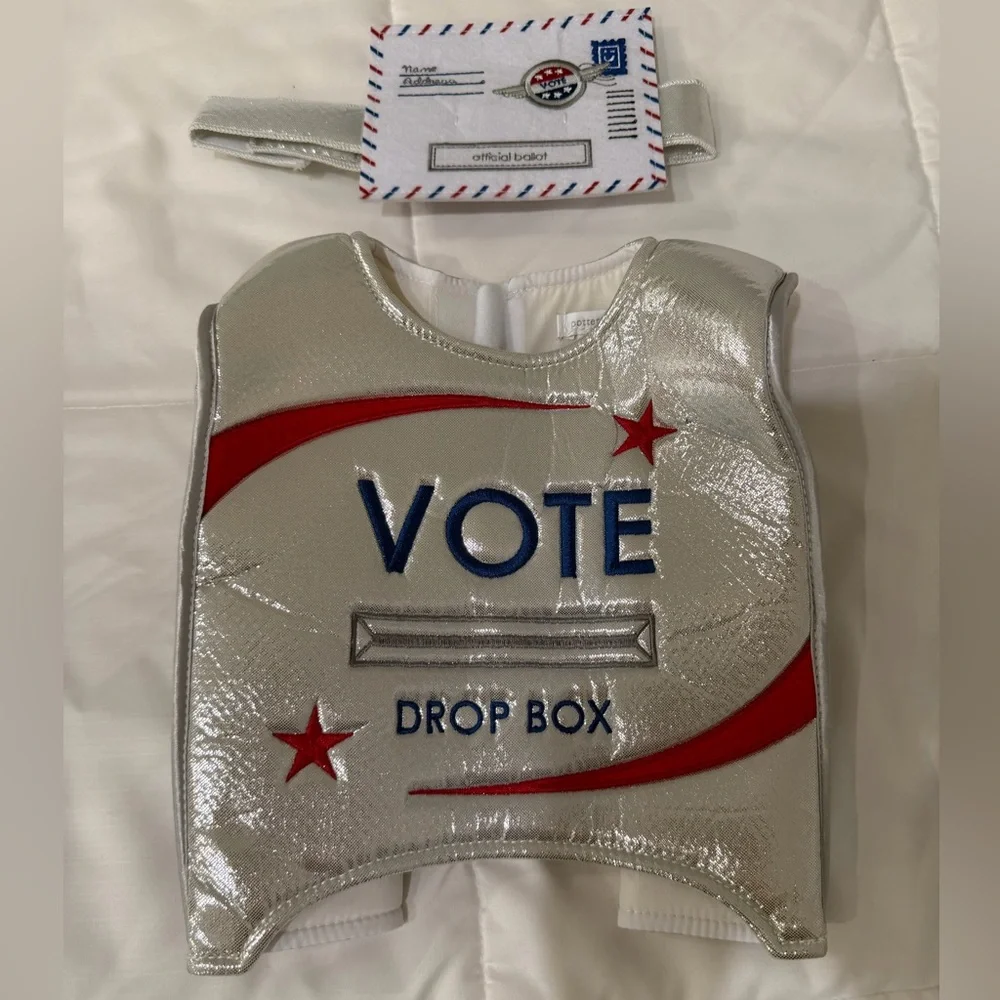 Kids Vote Drop Box Costume - Silver